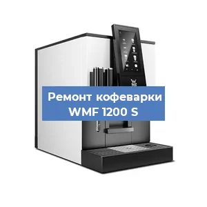 Чистка кофемашины WMF 1200 S от кофейных масел в Перми